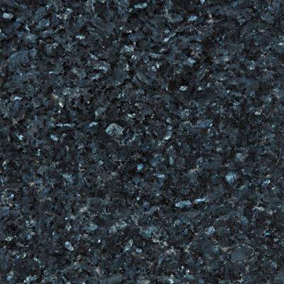 Labrador Bleu HQ Étampes