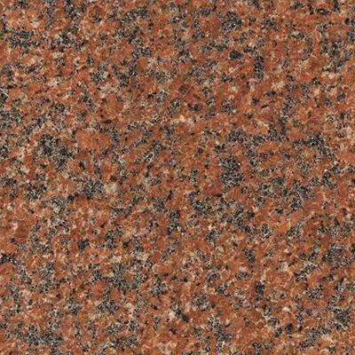 Rose Clarté Étampes