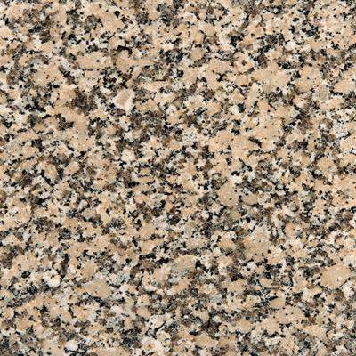 Rose Porino Étampes