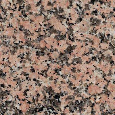 Rose Porino Étampes